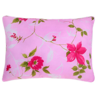 Подушка "Экономь и Я", 50х70 см, цвет МИКС Подушка "Экономь и Я", 50х70 см, цвет МИКС