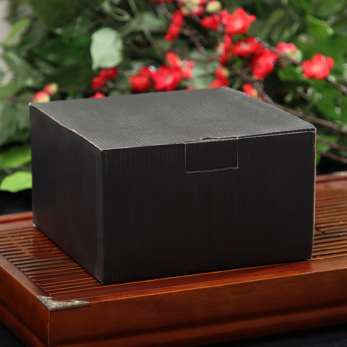 Чайник для плиты чугунный Доляна &laquo;Восточная ночь&raquo;, 1,6 л, с ситом, цвет чёрный