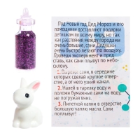 Набор для опытов 13 дней &laquo;Новогодний научный адвент-календарь&raquo;, 13 опытов