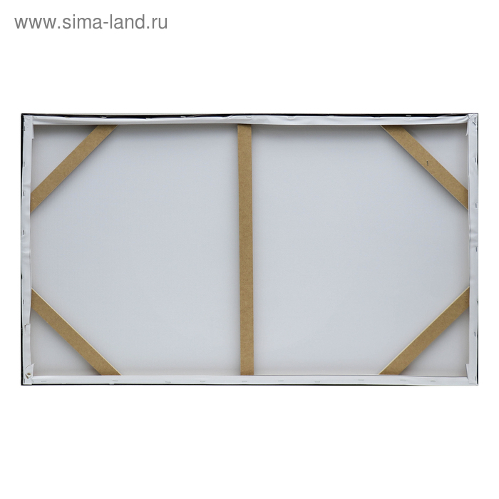 Картина на холсте "Луна" 60х100 см