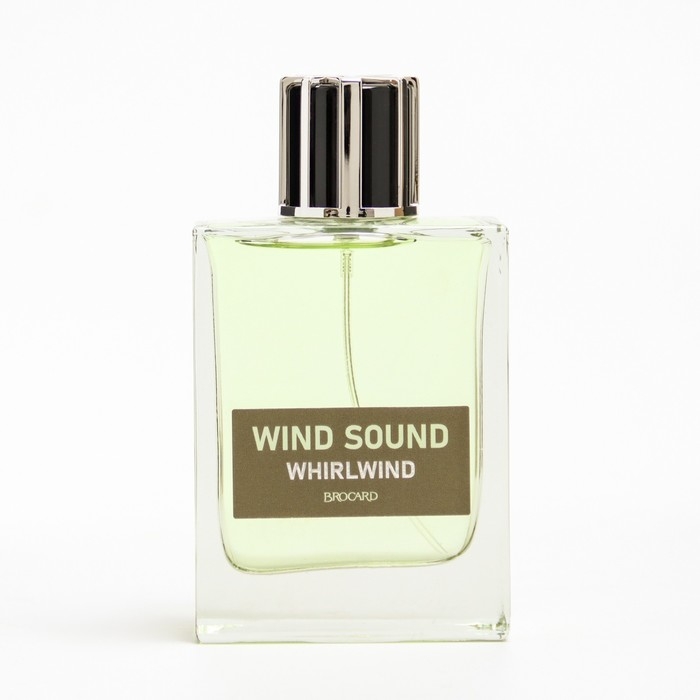 Туалетная вода мужская Туалетная вода мужская "Звук Ветра", "Смерч", 100 мл