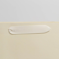 Пакет подарочный ламинированный, упаковка, &laquo;Молочный&raquo;, L 31 х 40 х 11.5 см