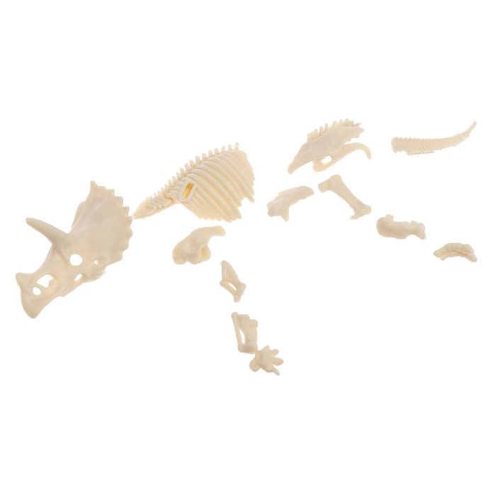 Набор для опытов «Диномир: Трицератопс», строение тела динозавра, 33 детали Набор для опытов «Диномир: Трицератопс», строение тела динозавра, 33 детали