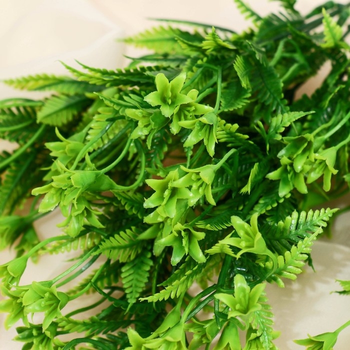 Букет "Зелень ассорти" 28 см, зелёный