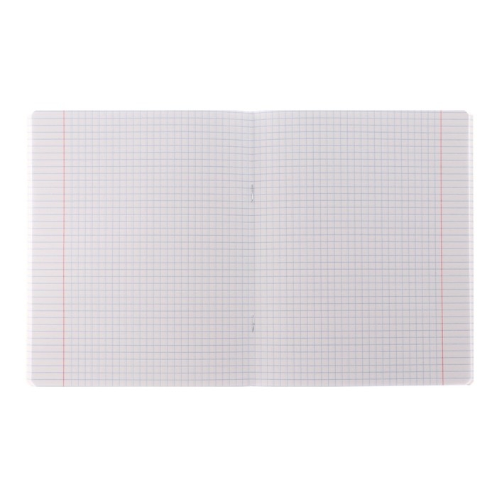 Тетрадь 48 листов в клетку Тетрадь 48 листов в клетку "Ангелы", аниме, обложка мелованный картон, 3D фольга, матовая ламинация, скругленные углы, 5В, Микс