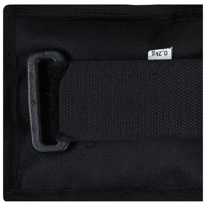 Утяжелители, 2 шт. &times; 0,2 кг, цвет МИКС