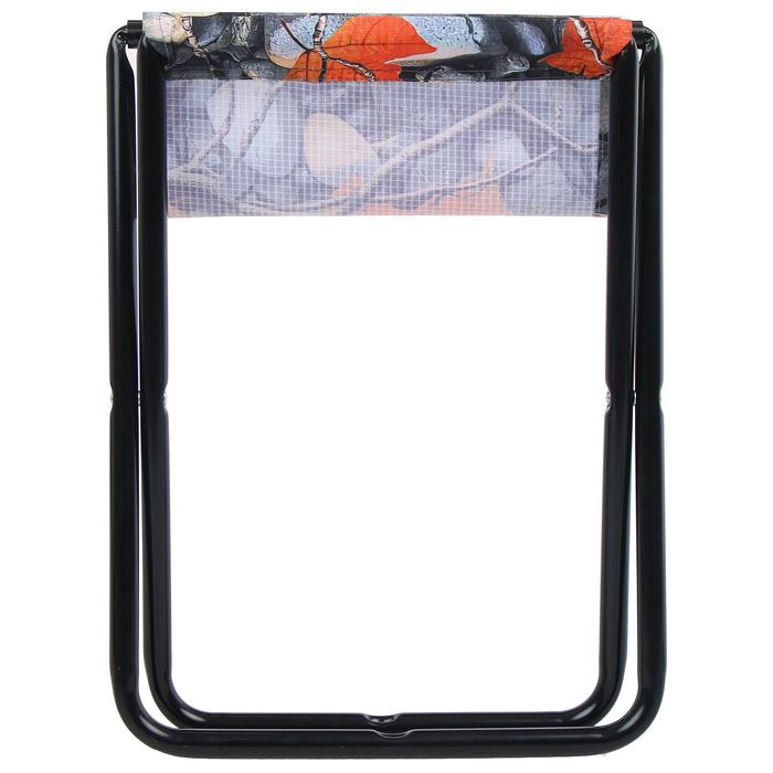 Стул складной Nika, 35 х 30 х 37 см, принт с камнями и кленовыми листьями Стул складной Nika, 35 х 30 х 37 см, принт с камнями и кленовыми листьями