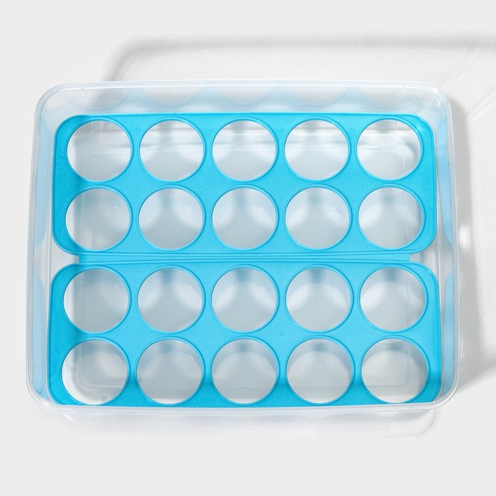 Контейнер для хранения яиц Доляна, 20 ячеек, 27,5×22×7 см, цвет МИКС Контейнер для хранения яиц Доляна, 20 ячеек, 27,5×22×7 см, цвет МИКС