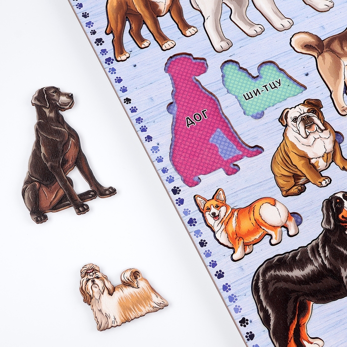 Рамки-вкладыши &laquo;Породы собак&raquo;, 2 часть