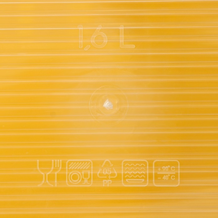 Набор пищевых контейнеров «BioFresh», 4 шт: 500 мл, 1 л, 1,6 л, 2,3 л, прозрачные, крышки микс Набор пищевых контейнеров «BioFresh», 4 шт: 500 мл, 1 л, 1,6 л, 2,3 л, прозрачные, крышки микс