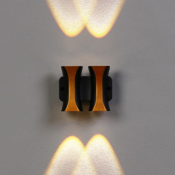 Светильник фасадный &laquo;Элегант&raquo;, FSD-043, 4 Вт, 3000К, 2 луча, IP65, 220 В, пластик, черный