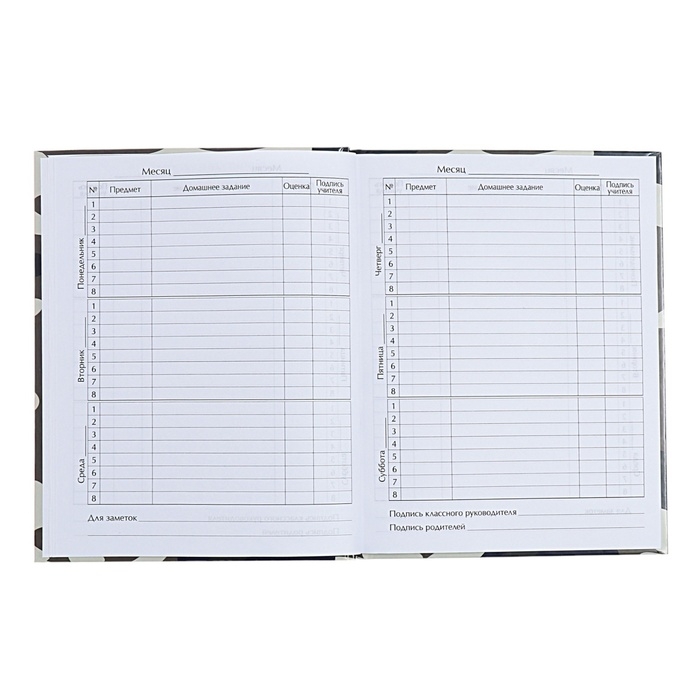 Дневник универсальный для 1-11 классов, "Самолет", твердая обложка 7БЦ, глянцевая ламинация, 40 листов