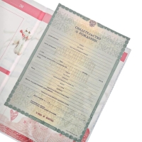 Папка для свидетельства о рождении &laquo;Скетч&raquo;, для девочки, А4