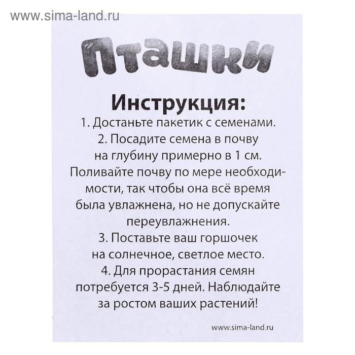 Набор для опытов «Пташки, выращиваем травку», фиолетовый горшочек Набор для опытов «Пташки, выращиваем травку», фиолетовый горшочек