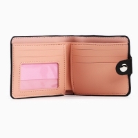 Кошелёк-книжка «Аниме», 11х9.5х2 см Кошелёк-книжка «Аниме», 11х9.5х2 см