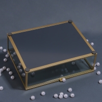 Органайзер для хранения &laquo;MOUNTAINS&raquo;, с крышкой, стеклянный, с зеркальным дном, 1 секция, 20 &times; 16 &times; 6,5 см, цвет прозрачный/медный