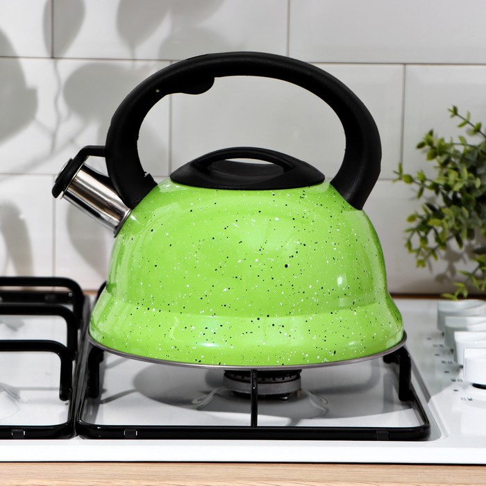 Чайник со свистком из нержавеющей стали Доляна &laquo;Рио&raquo;, 2,8 л, фиксированная ручка, цвет зелёный