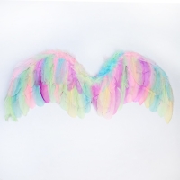 Крылья ангела 77&times;55 см