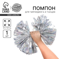 Помпон 1шт, цвет гологафия серебро Помпон 1шт, цвет гологафия серебро