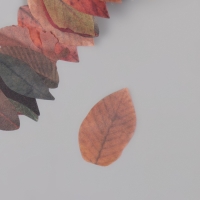 Клейкая лента бумага "Листья деревьев" 50 картинок 3,5х3,5х3.7 см Клейкая лента бумага "Листья деревьев" 50 картинок 3,5х3,5х3.7 см