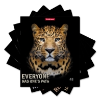 Тетрадь 48 листов в клетку, ErichKrause Strong and Brave, обложка мелованный картон, матовая ламинация, блок офсет 100% белизна, МИКС (1 вид в спайке) Тетрадь 48 листов в клетку, ErichKrause Strong and Brave, обложка мелованный картон, матовая ламинация, блок офсет 100% белизна, МИКС (1 вид в спайке)