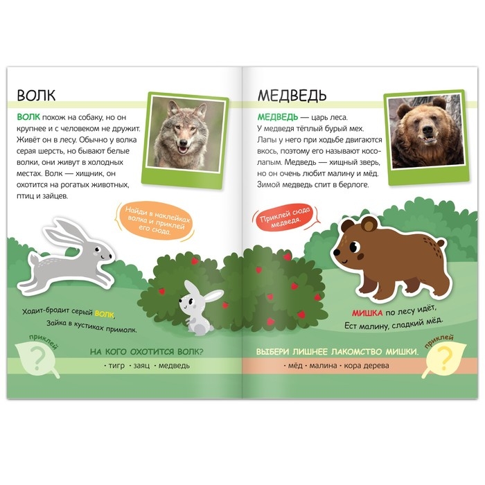 Книжка с наклейками &laquo;Жители леса. Читай, играй, узнавай&raquo;, 16 стр.
