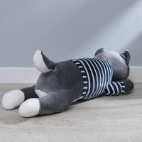 Мягкая игрушка &laquo;Хаски&raquo;, с пледом