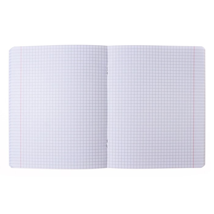 Тетрадь 48 листов в клетку, NEWtone PASTEL Тетрадь 48 листов в клетку, NEWtone PASTEL "Лаванда", обложка мелованный картон, глянцевая ламинация, блок офсет 80г/м2