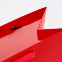 Пакет ламинированный &laquo;Фуксия&raquo;, MS 18 &times; 23 &times; 10 см