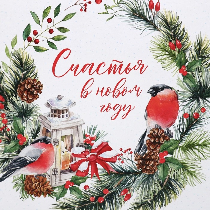 Коробка подарочная «Счастья в новом году», 22 х 22 х 12 см, Новый год Коробка подарочная «Счастья в новом году», 22 х 22 х 12 см, Новый год