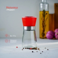 Мельница для специй Доляна «Модерн», 180 мл, 6,5×13 см, цвет красный Мельница для специй Доляна «Модерн», 180 мл, 6,5×13 см, цвет красный