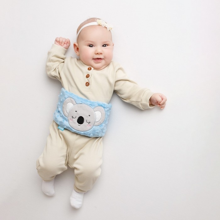 Развивающая игрушка-грелка &laquo;Коала&raquo;, с вишнёвыми косточками