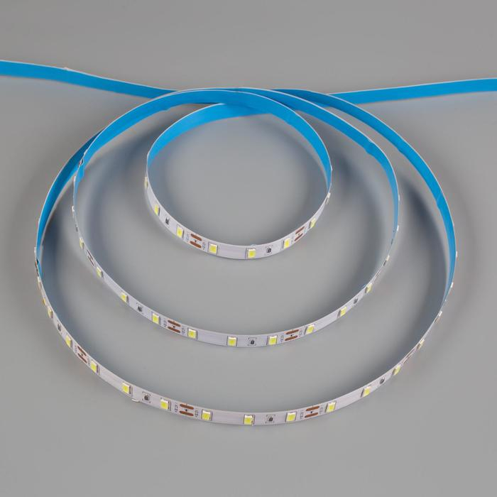 Светодиодная лента Ecola PRO 5 м, IP20, SMD2550, 60 LED/м, 19 Вт/м, 12 В, 6000К Светодиодная лента Ecola PRO 5 м, IP20, SMD2550, 60 LED/м, 19 Вт/м, 12 В, 6000К