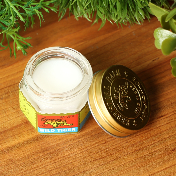 Бальзам «Китайская звёздочка», 20 г Бальзам «Китайская звёздочка», 20 г