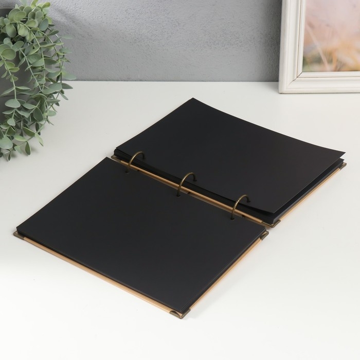 Фотоальбом на кольцах 30 листов "Признание в любви" чёрные листы 26х18 см