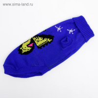 Свитер, размер 16 (ДС 45-60, ОШ 20-37, ОГ 37-52 см), микс расцветок Свитер, размер 16 (ДС 45-60, ОШ 20-37, ОГ 37-52 см), микс расцветок