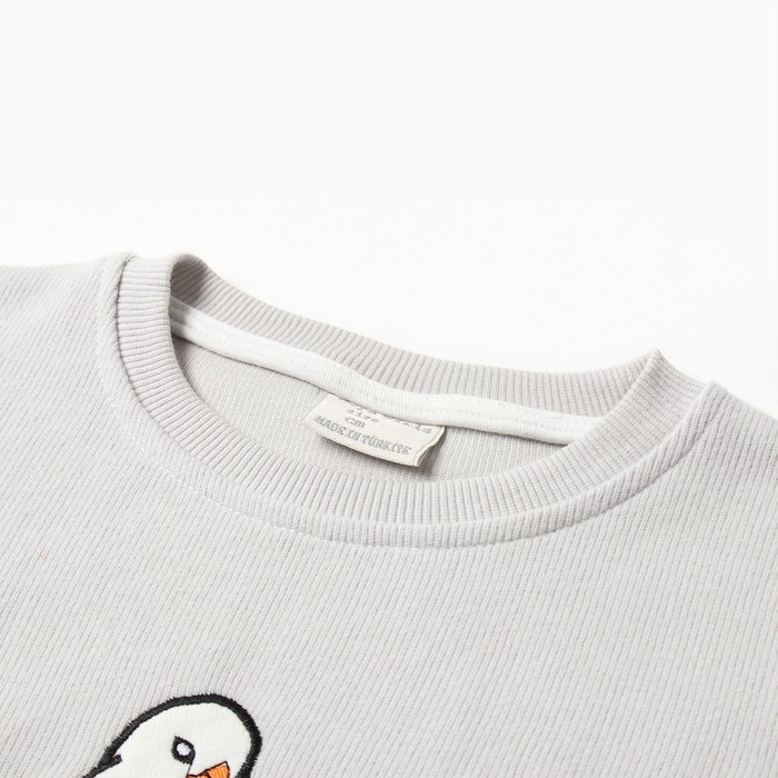 Свитшот детский, цвет серый, рост 116 см