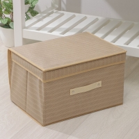 Короб стеллажный для хранения с крышкой Доляна &laquo;Гусиная лапка&raquo;, 40&times;30&times;25 см, цвет бежевый