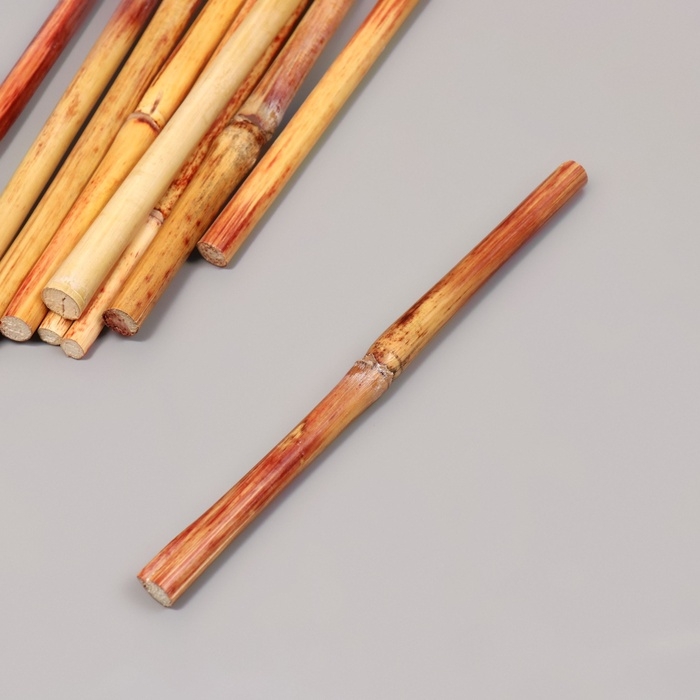 Стебли бамбука декоративные, 10 шт, длина 20 см Стебли бамбука декоративные, 10 шт, длина 20 см