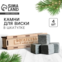 Новый год. Камни для виски в деревянной шкатулке с крышкой «Богатства в Новом году», 4 шт Новый год. Камни для виски в деревянной шкатулке с крышкой «Богатства в Новом году», 4 шт