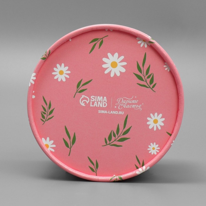 Набор шляпных коробок 4 в 1, упаковка подарочная, &laquo;Ромашки&raquo;, 12 х 12 - 20 х 20 см