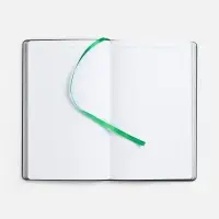 Ежедневник Trait, недатированный, черный с зеленым