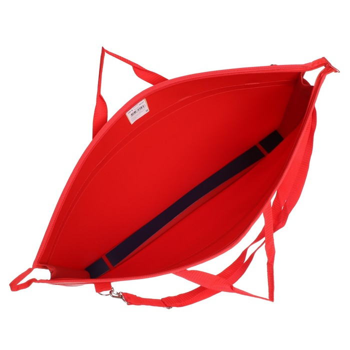 Папка для чертежей и рисунков А2, 650 х 480 х 50 мм, с ручками, пластиковая, молния сверху, плечевой ремень, красная Папка для чертежей и рисунков А2, 650 х 480 х 50 мм, с ручками, пластиковая, молния сверху, плечевой ремень, красная