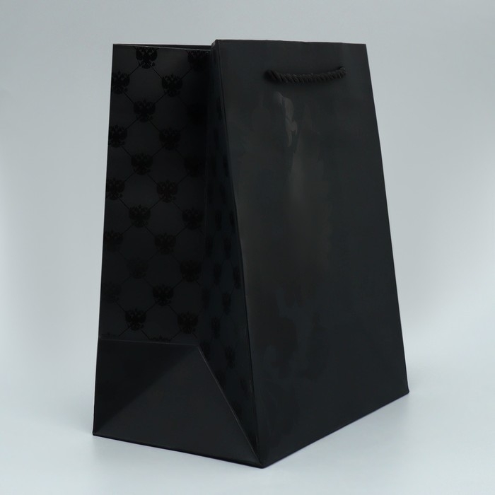 Пакет подарочный, упаковка, &laquo;Герб&raquo;, MS 18 х 23 х 12 см