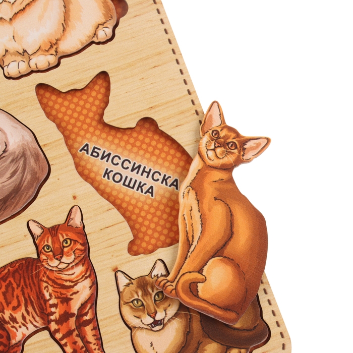 Рамки-вкладыши &laquo;Породы кошек&raquo;