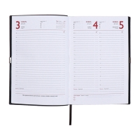 Ежедневник датированный 2025 года, А5, 176 листов ESCALADA, мягкая обложка из искусственной кожи, блинтовое тиснение, ляссе, блок 70 г/м2, чёрный