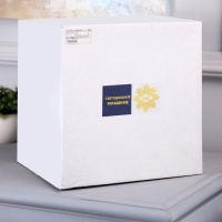 Светодиодная фигура «Мишка» 25 × 26 × 23 см, акрил, 50 LED, батарейки АА × 2 (не в комплекте), свечение белое Светодиодная фигура «Мишка» 25 × 26 × 23 см, акрил, 50 LED, батарейки АА × 2 (не в комплекте), свечение белое