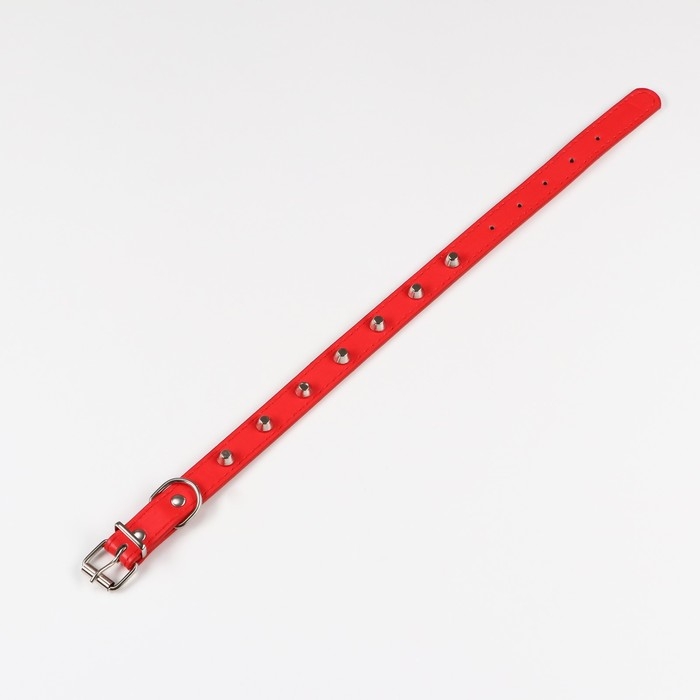 Ошейник с затупленными шипами, 45 х 2 см, микс цветов Ошейник с затупленными шипами, 45 х 2 см, микс цветов