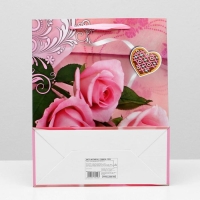 Пакет ламинированный, 26 x 32 x 12 см Пакет ламинированный, 26 x 32 x 12 см