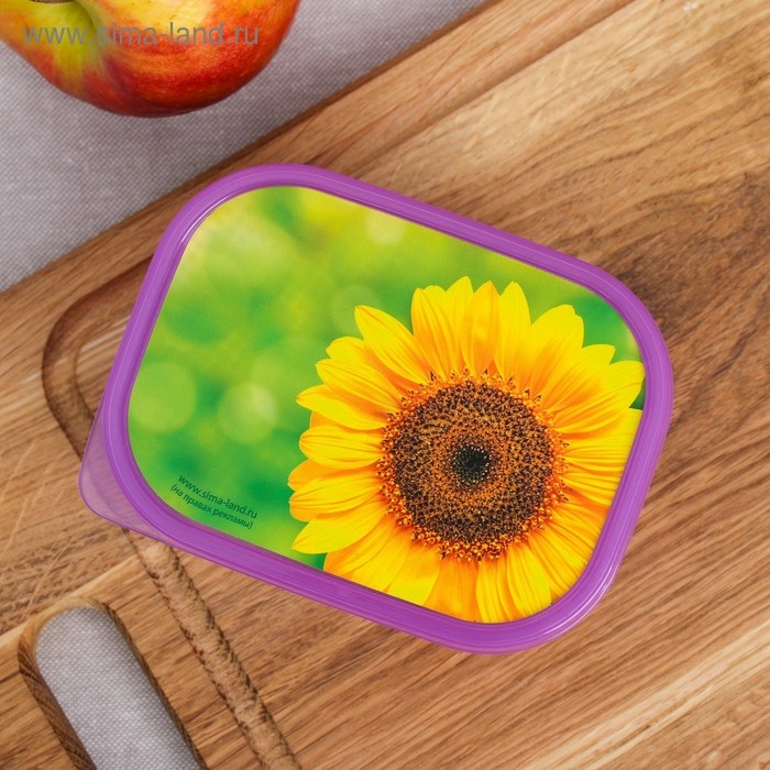 Ланч-бокс &laquo;Подсолнух&raquo;, 500 мл